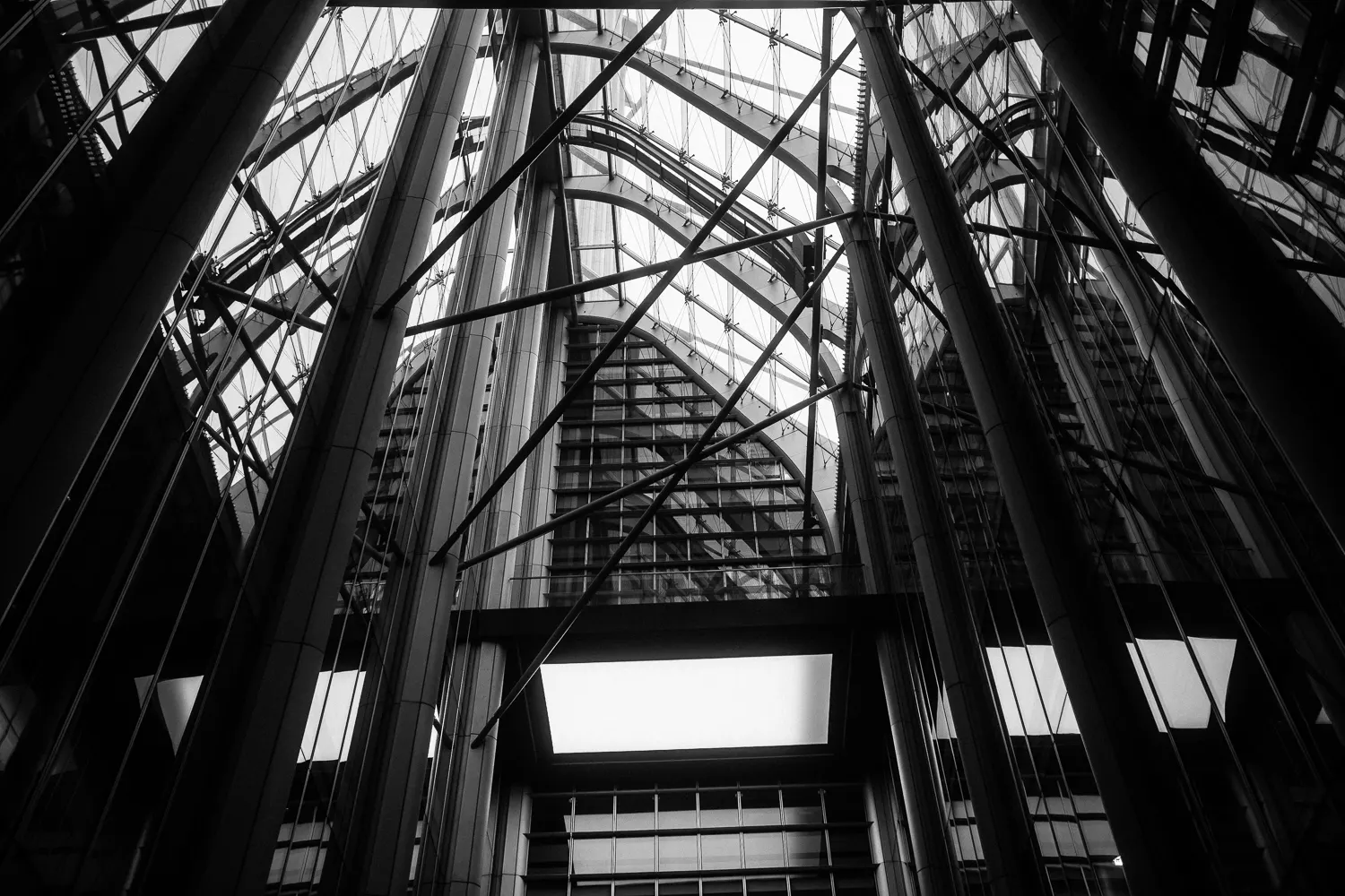 Shapes and Shadows
