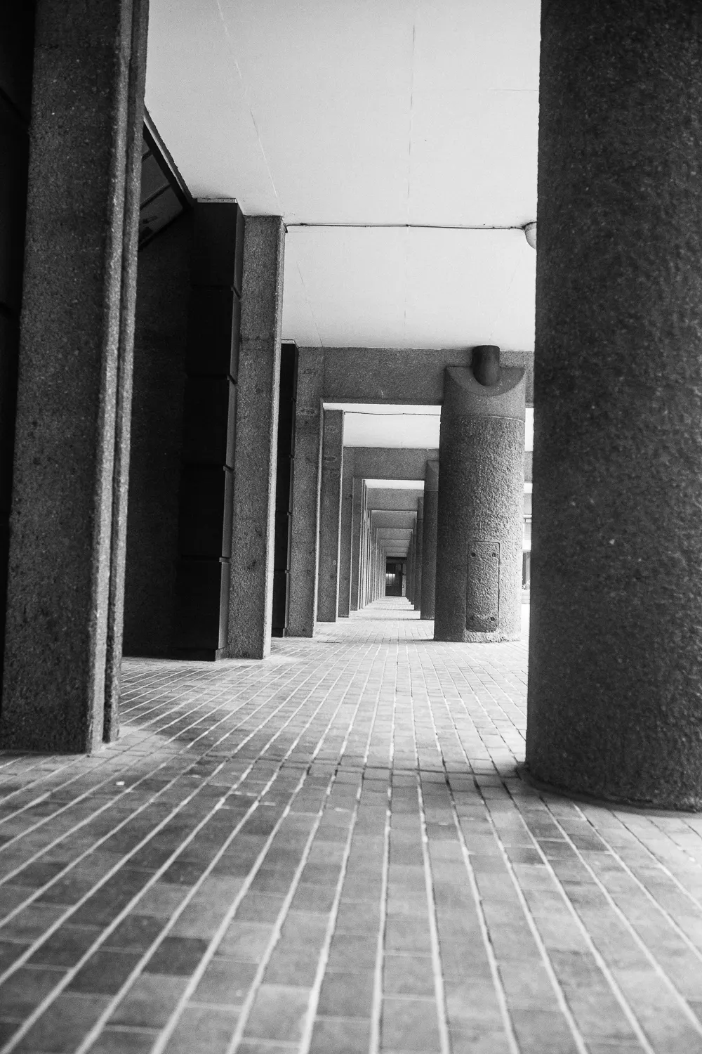 Shapes and Shadows