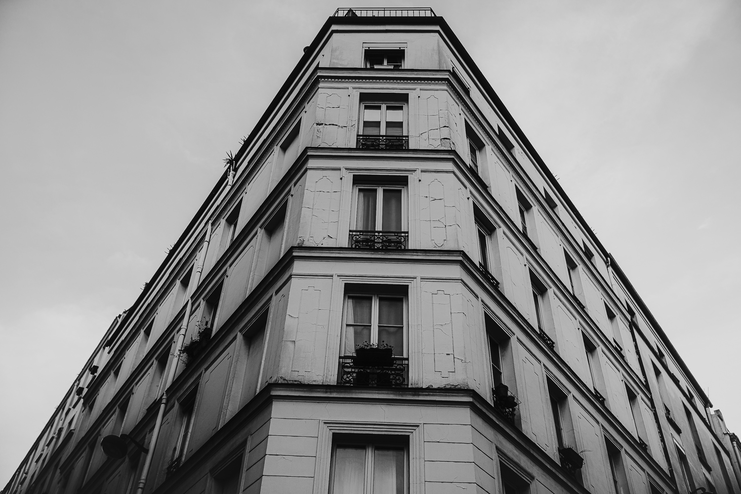 paris-in-mono